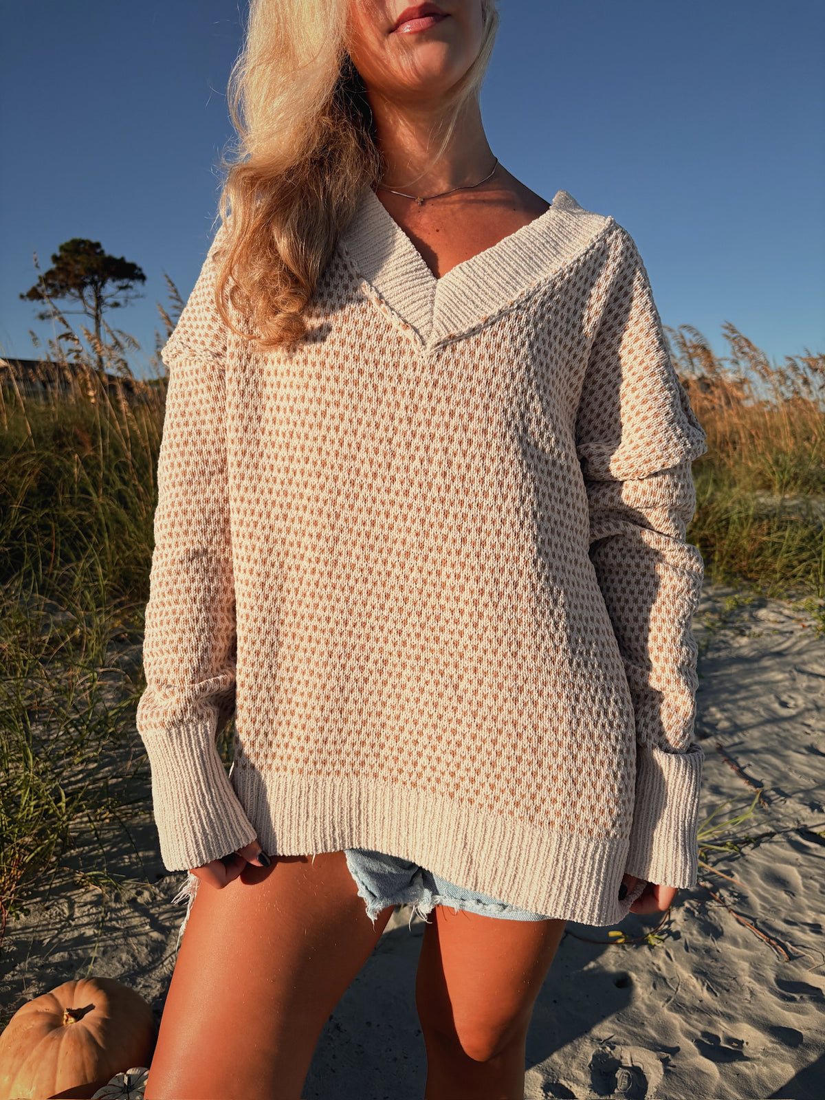 Jessi Textured V Neck Sweater