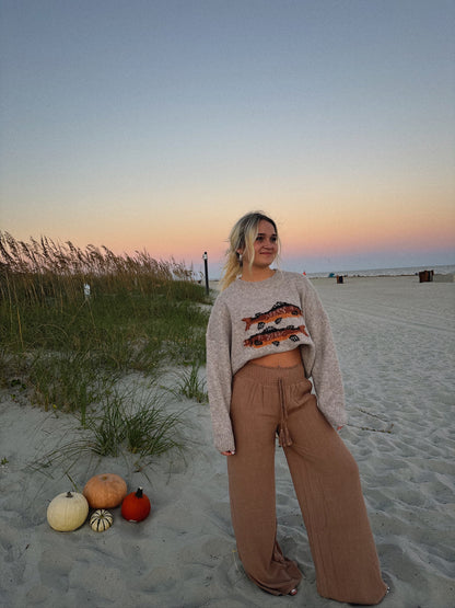 Two Fish Sweater Brown