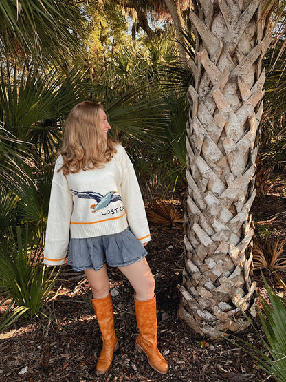 Coastal Seagull Graphic Sweater