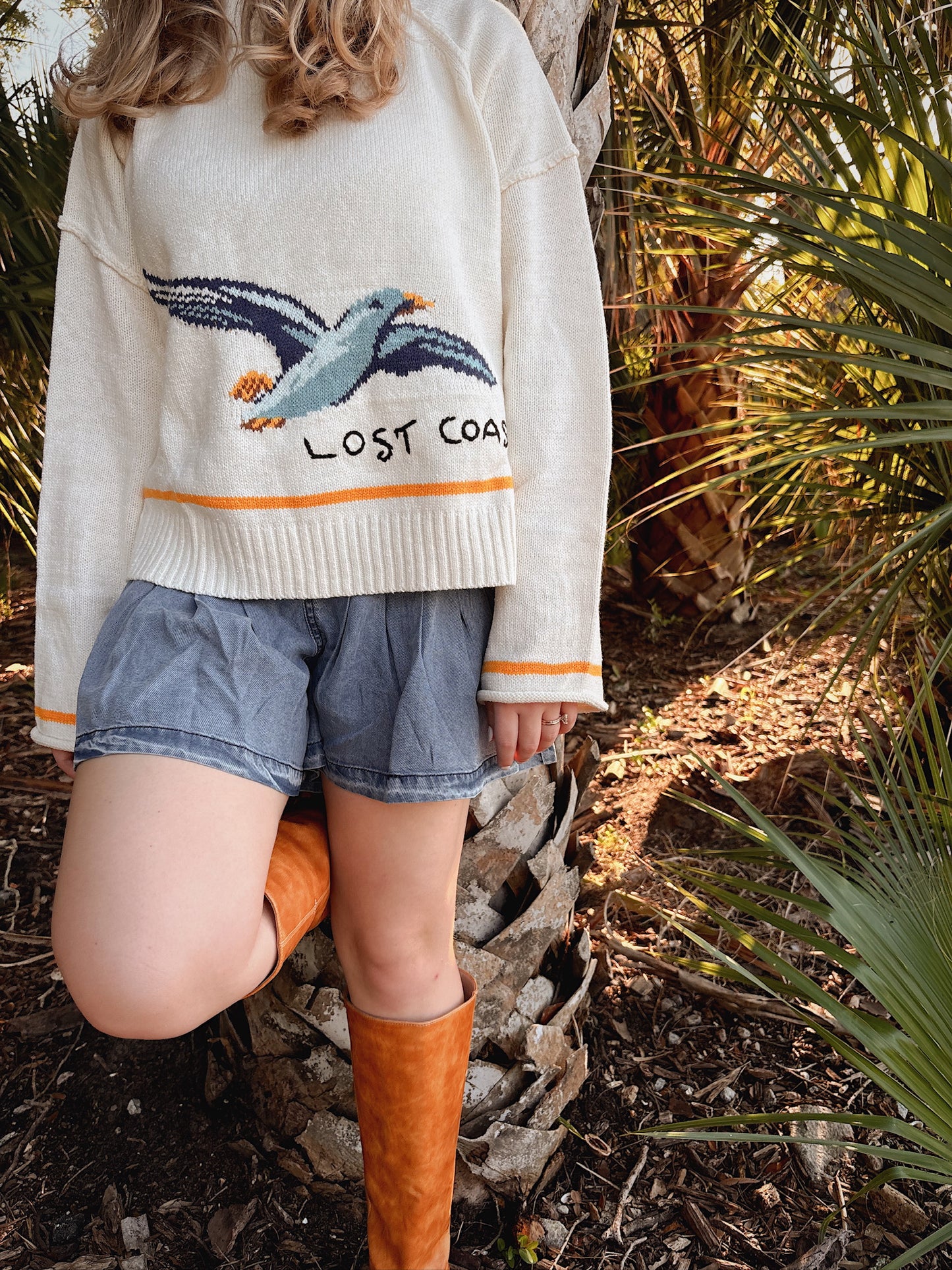 Coastal Seagull Graphic Sweater