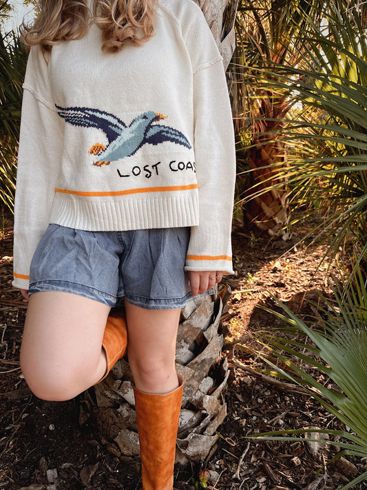 Coastal Seagull Graphic Sweater
