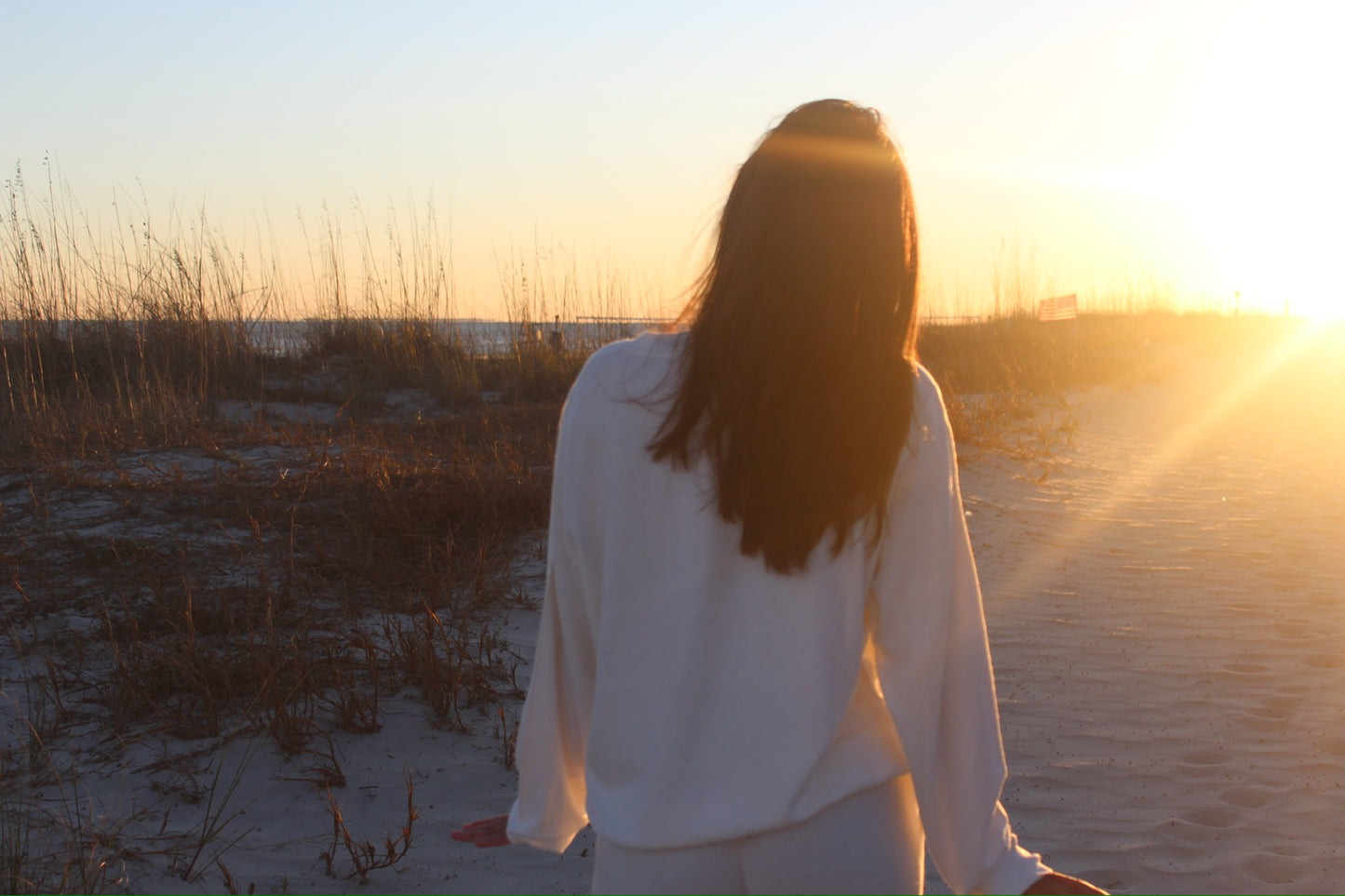 Seashell Hilton Head Hacci Crew