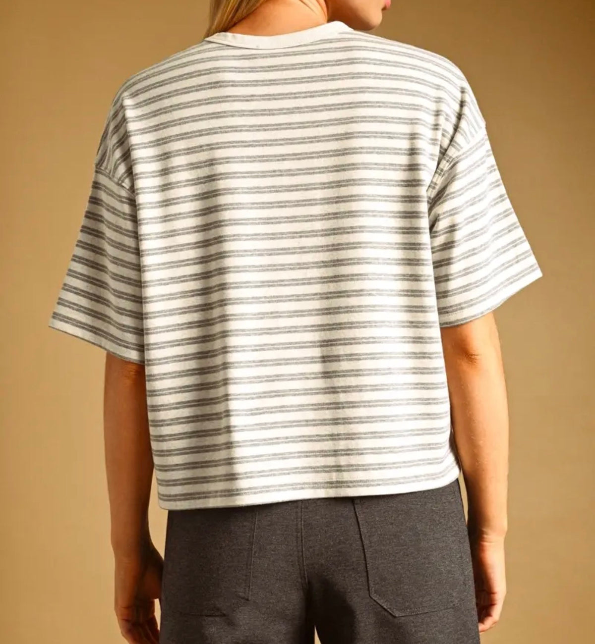 Double Stripe Short Sleeve Top
