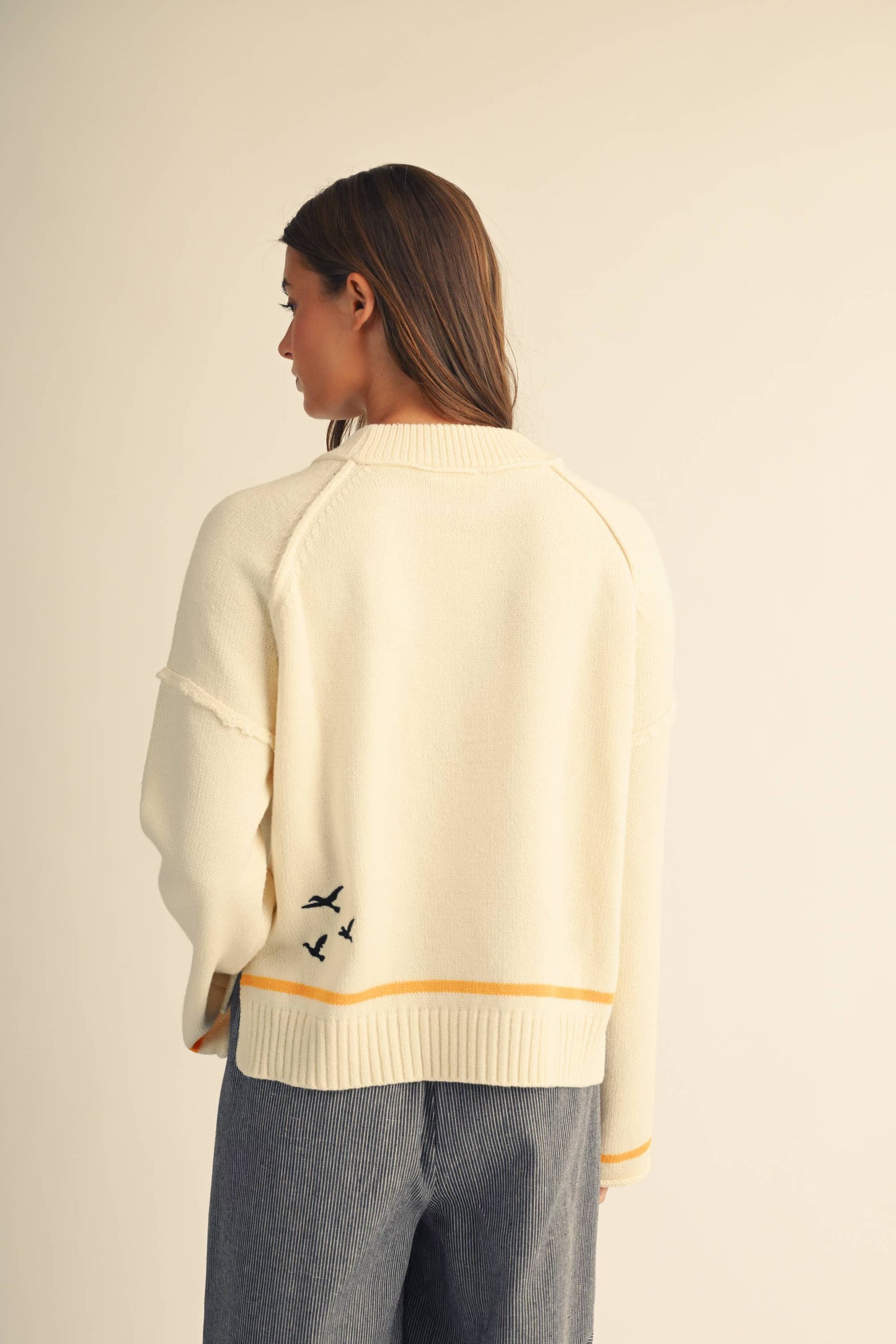 Coastal Seagull Graphic Sweater